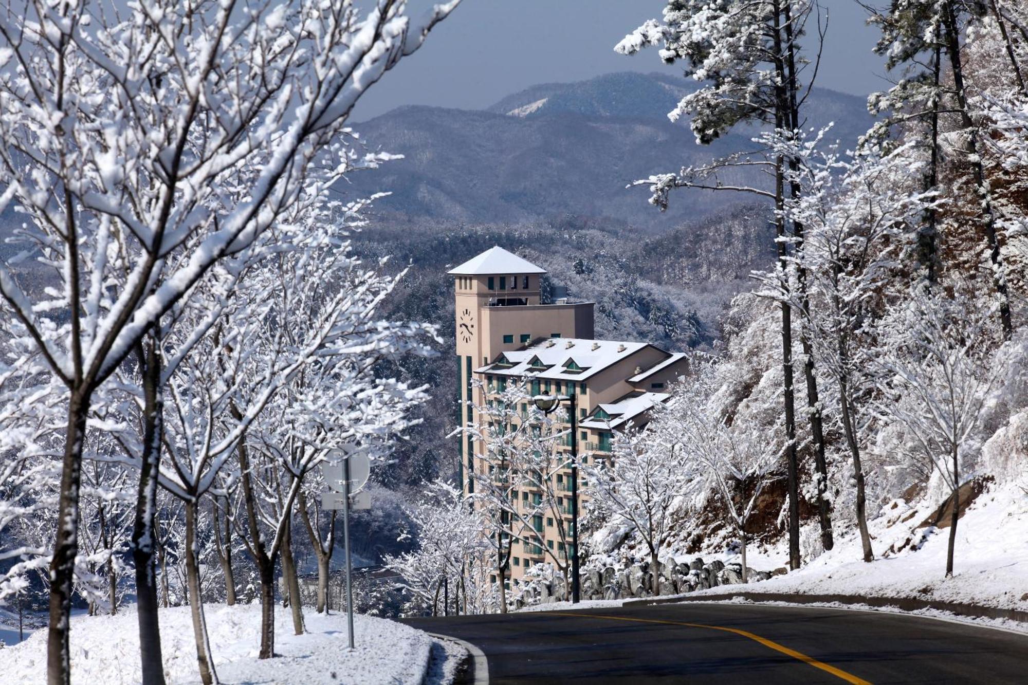 Oak Valley Resort Wonju Luaran gambar